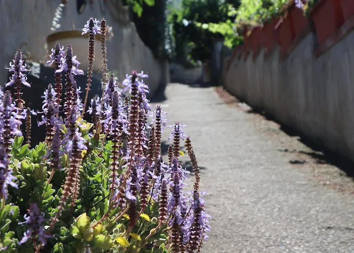 Le Residenze Su Puntu - Budoni Sweet Apartament Tanaunella